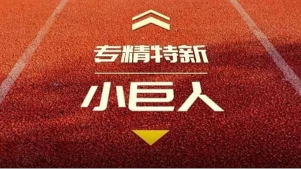 德曼公司受益國(guó)辦托舉國(guó)家級(jí)專(zhuān)精特新“小巨人”企業(yè)-寧波德曼壓縮機(jī)